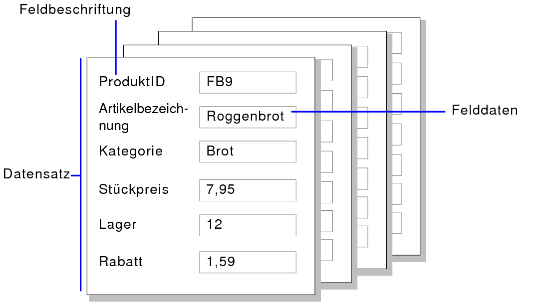 Beispiele für Datensätze, Felddaten und Feldbeschriftungen