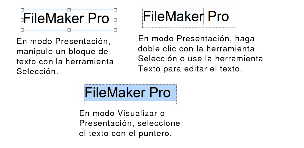Ejemplo de selección de texto