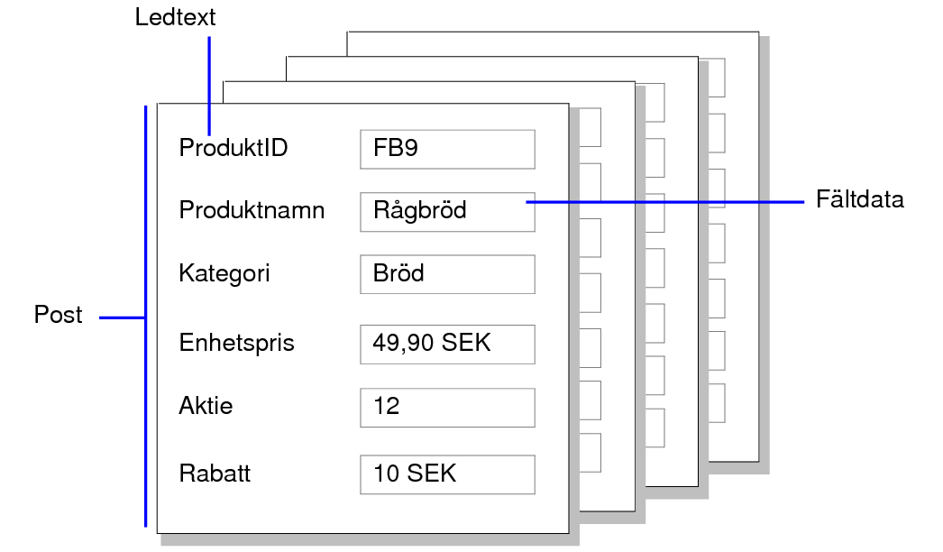 Exempel på poster, fältdata och ledtexter