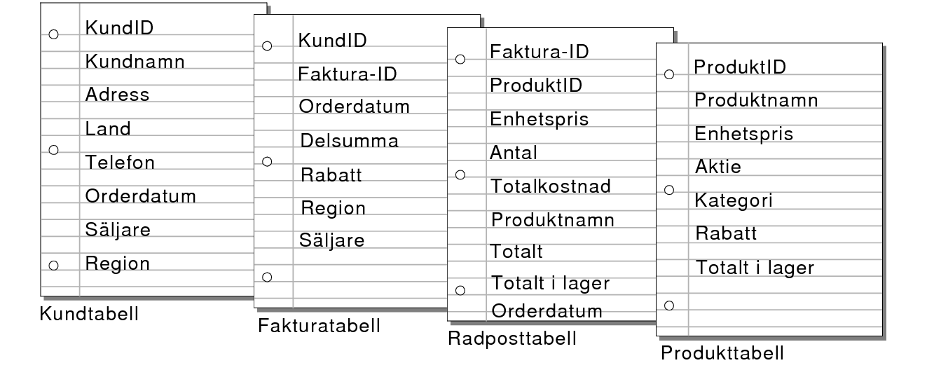 Fält i tabeller för kunder, fakturor, radposter och produkter